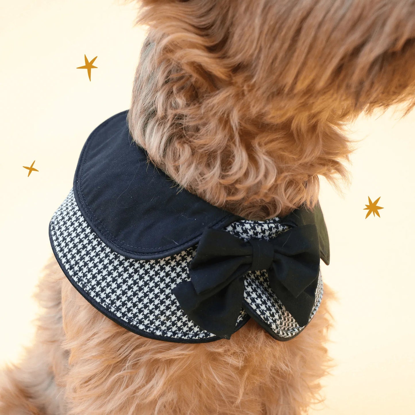 The Pawlité Accessory Set