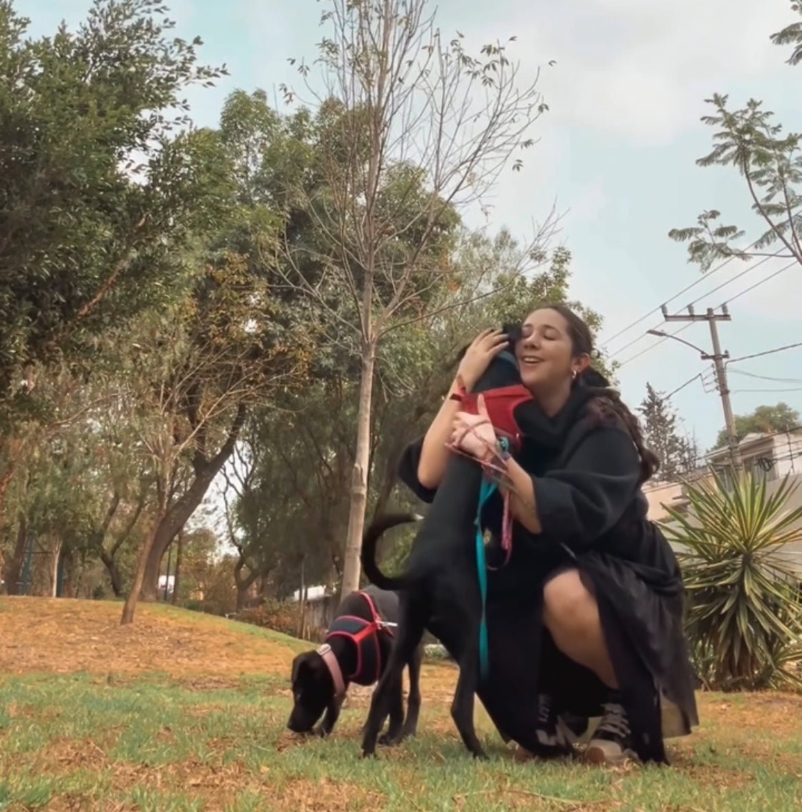 Abrazos y lágrimas en este paseo con Frijol
