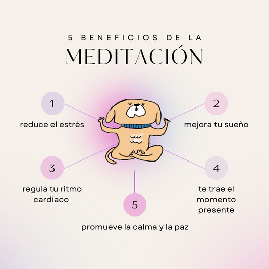 Conectando con tu Creatividad a Través de la Meditación