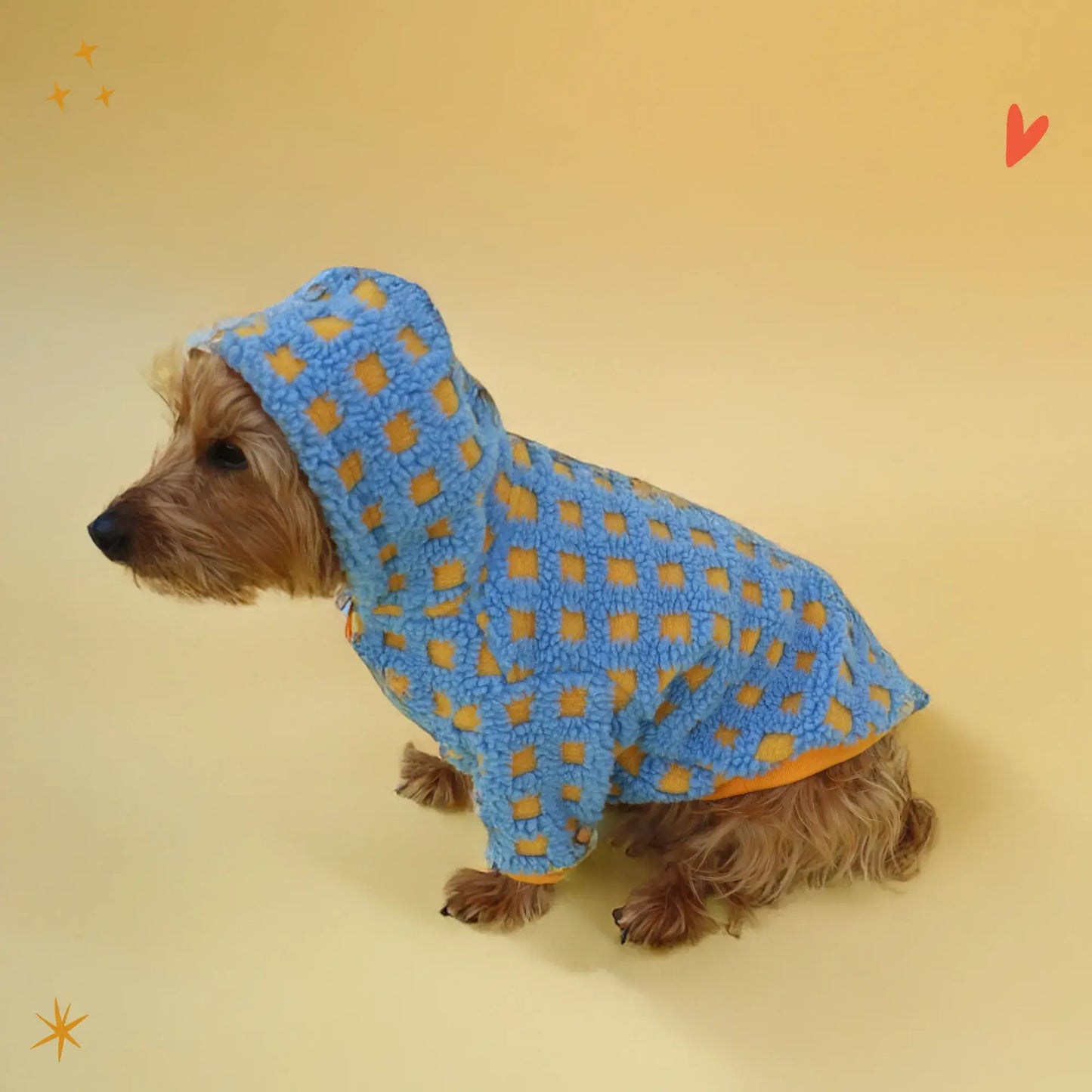 Pawfect Hoodie