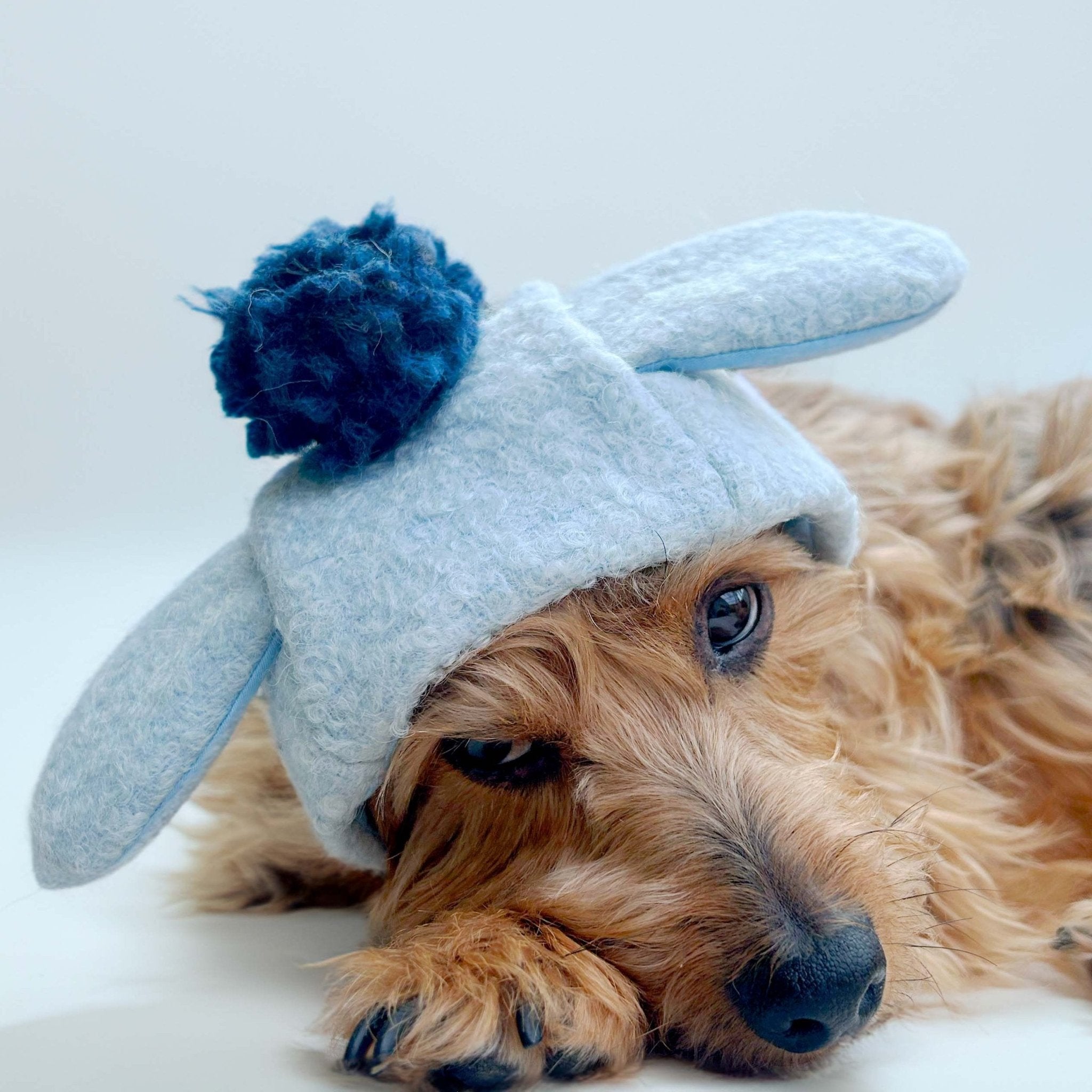 Pawdorable Hat