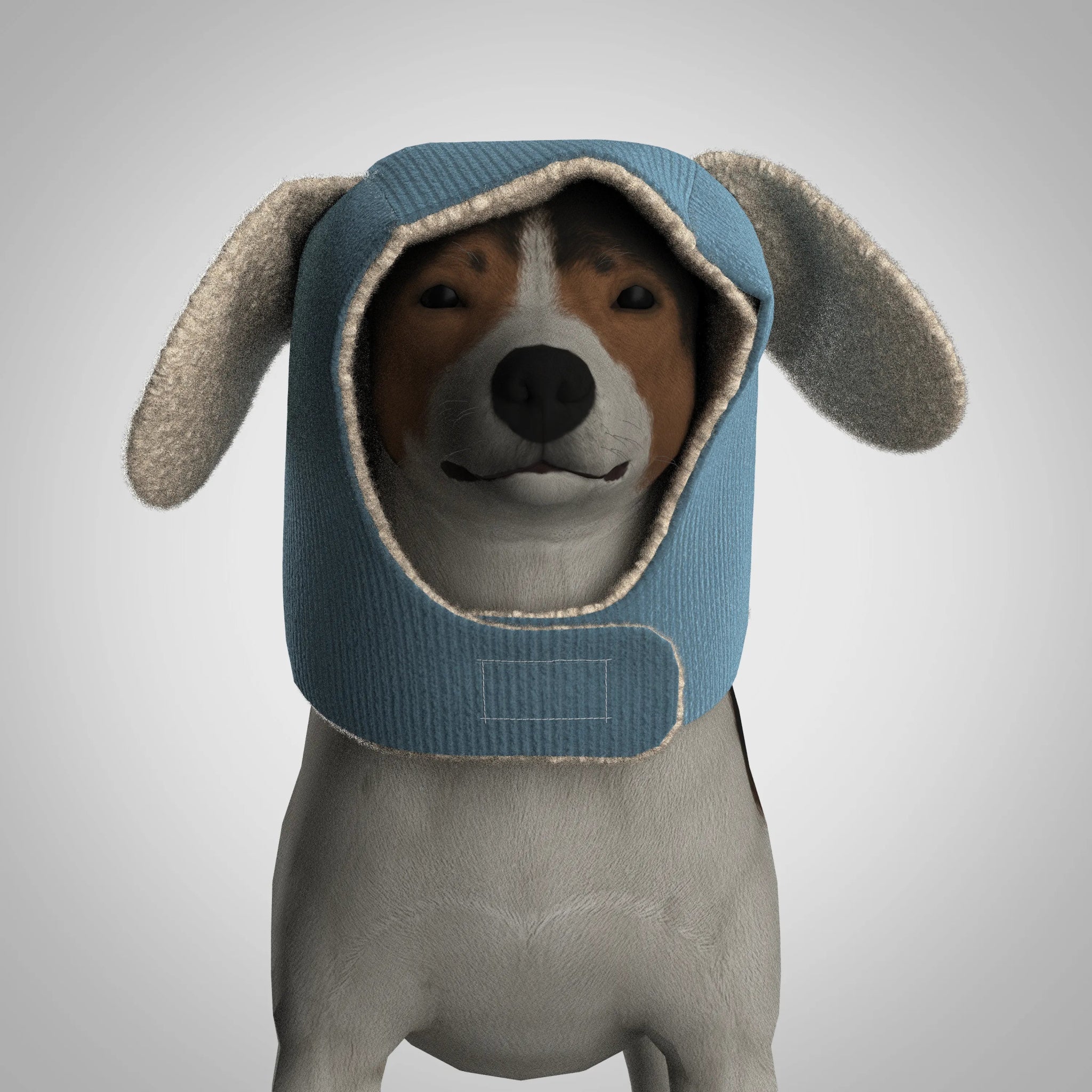 Pawdorable Hat