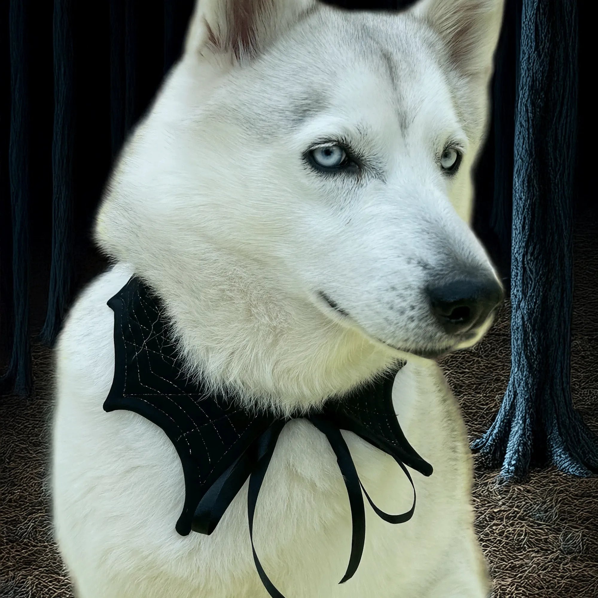 Pawfect Accessory Set