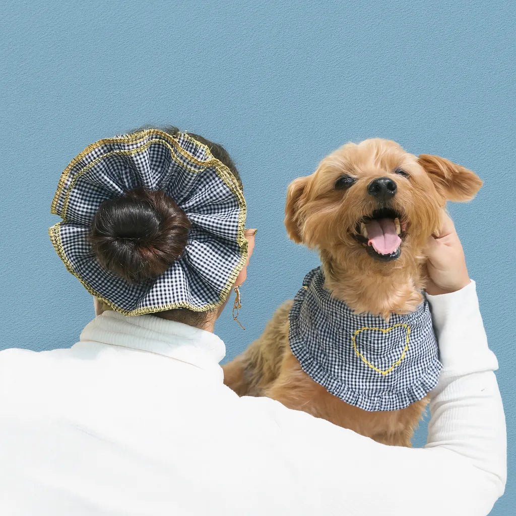 Pawfect Accessory Set