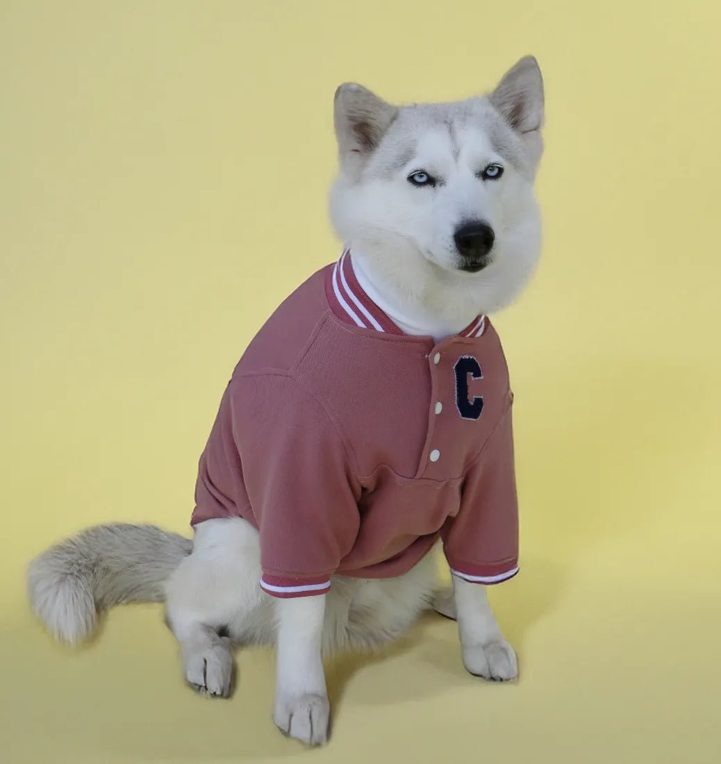 Pawfect Hoodie | Bundle