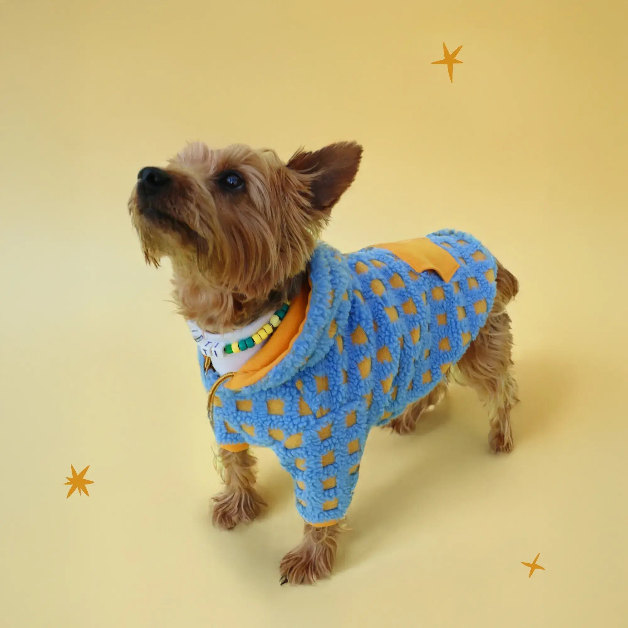 Pawfect Hoodie | Tallas XXS-XL