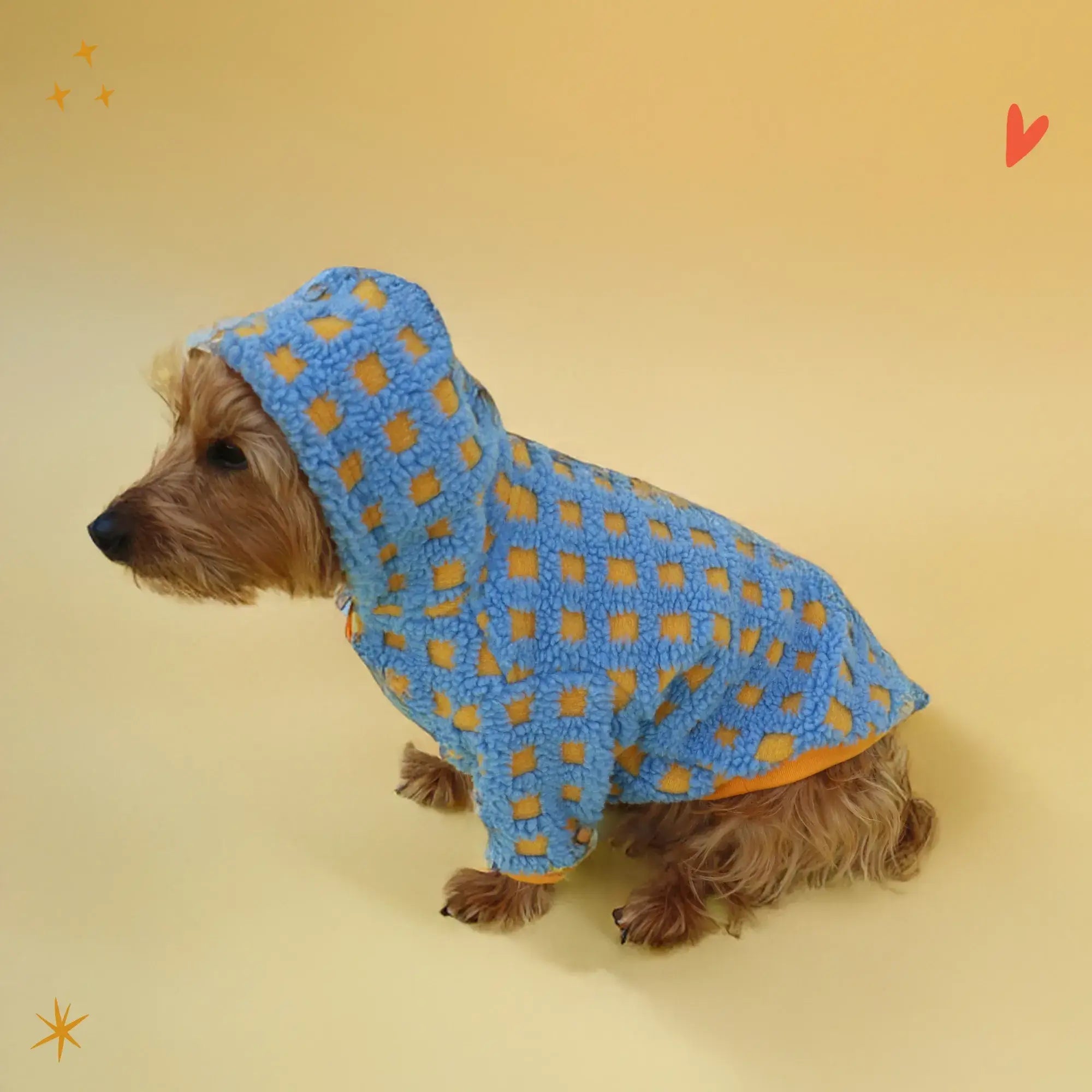 Pawfect Hoodie | Tallas XXS-XL