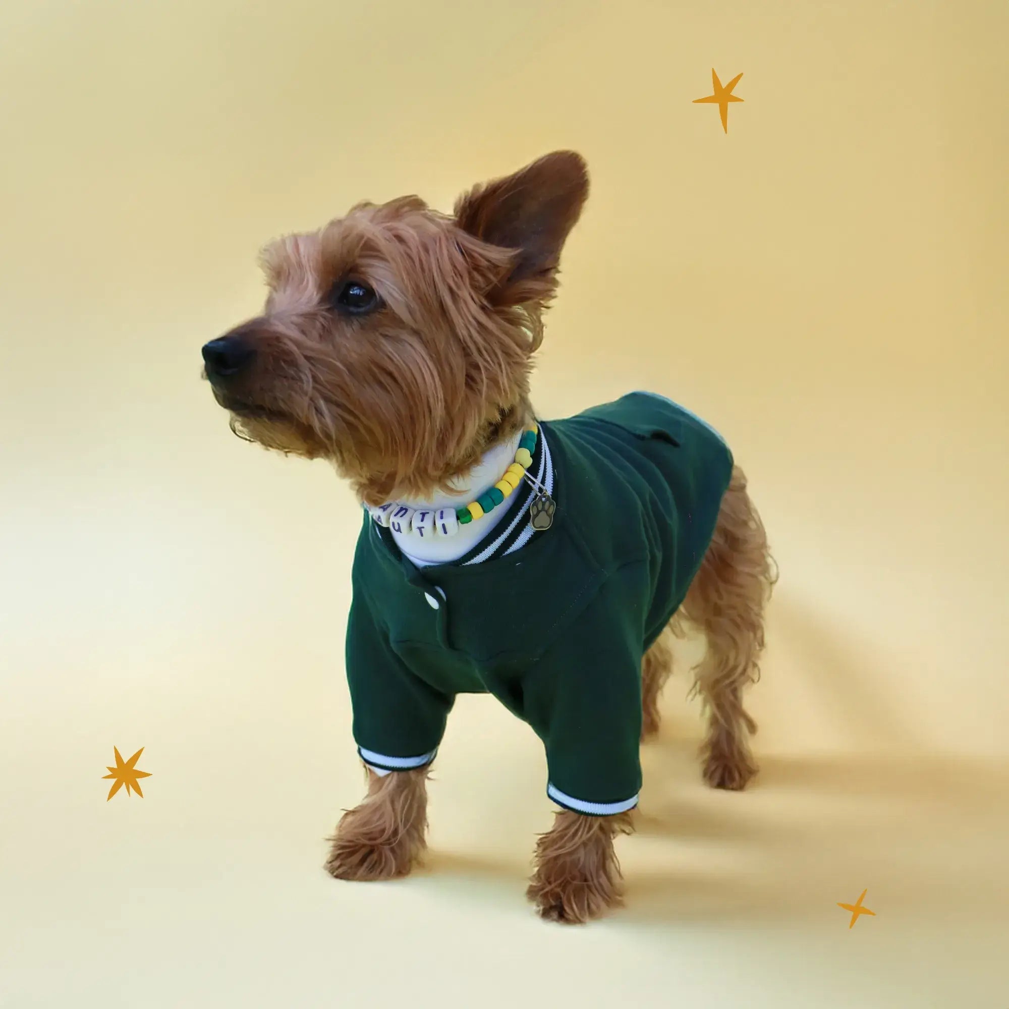 Pawfect Hoodie | Tallas RS-RXL