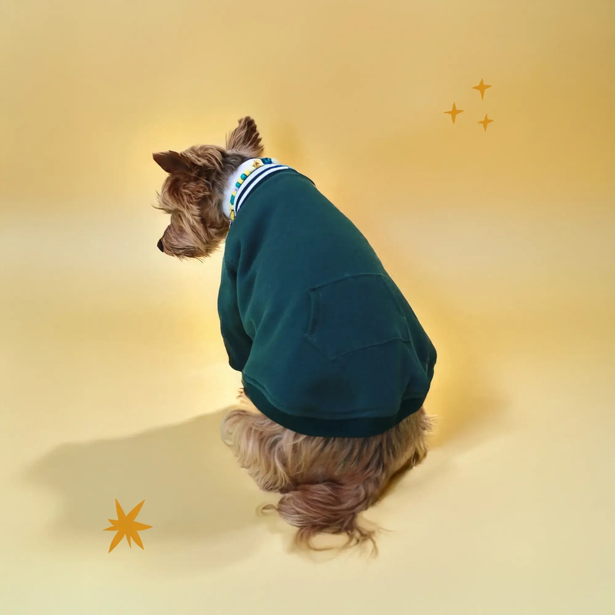 Pawfect Hoodie | Tallas XXS-XL