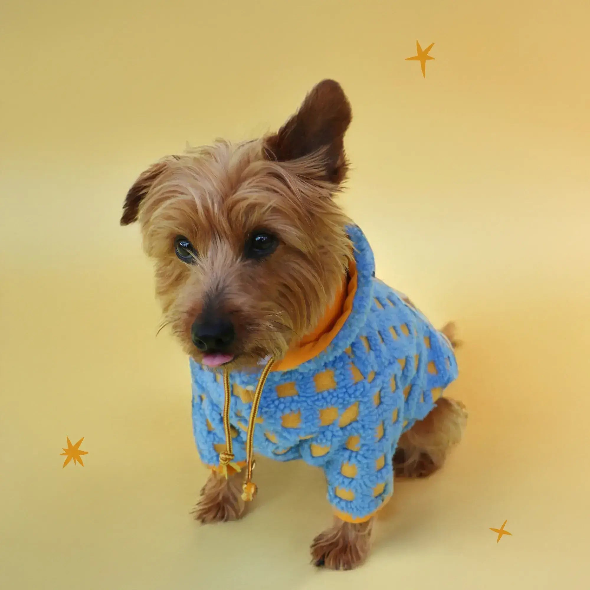 Pawfect Hoodie | Tallas XXS-XL