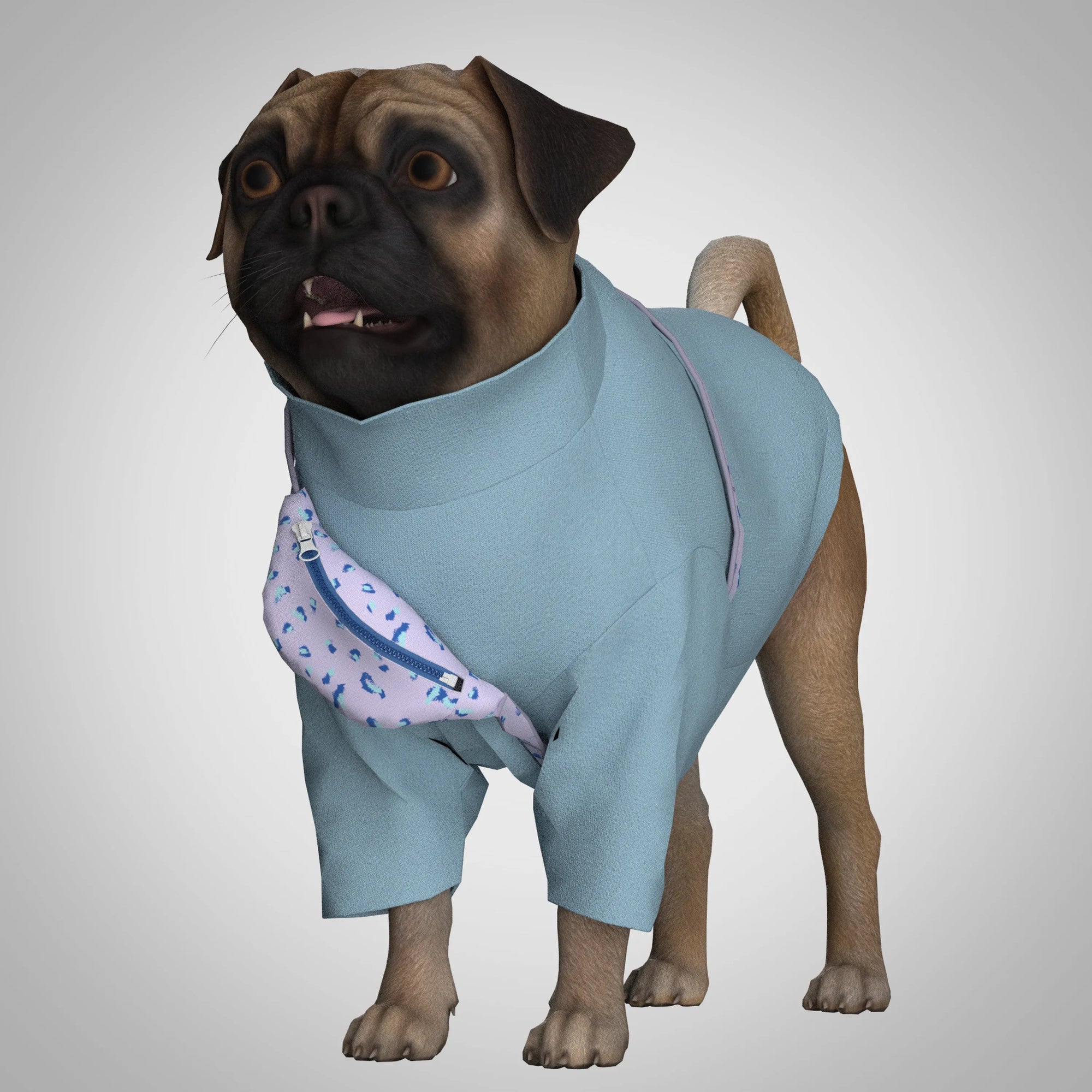 Pawgurera