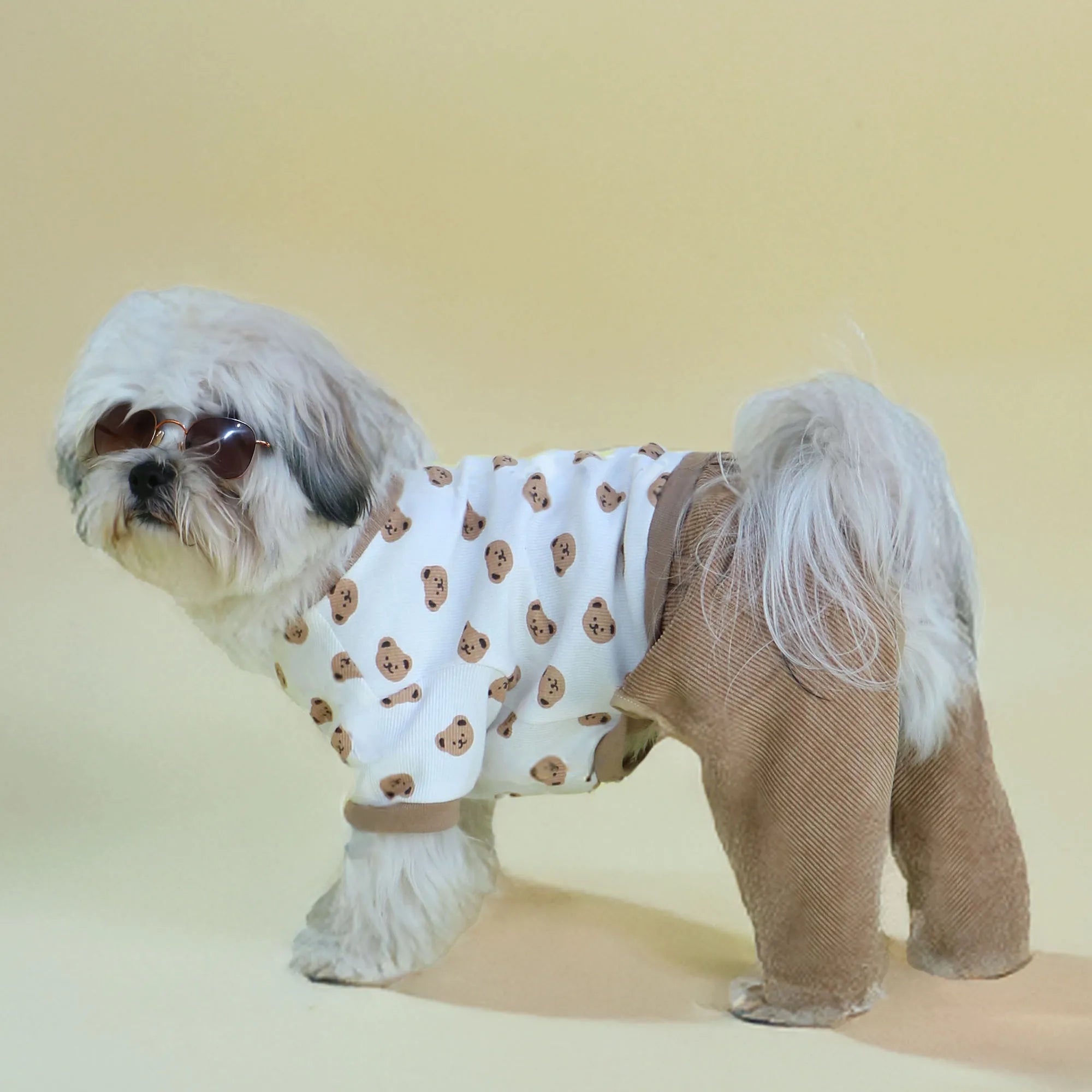 Pawtastic Pair I