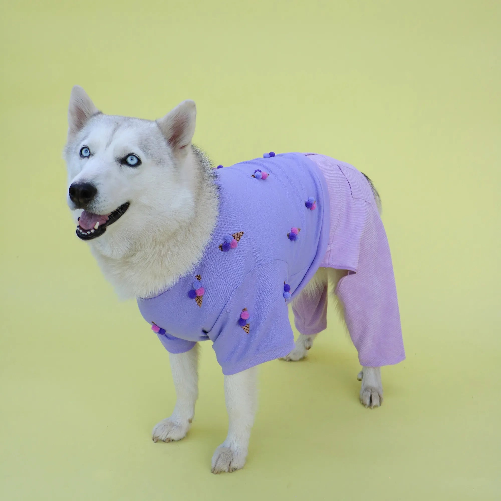 Pawtastic Pair I