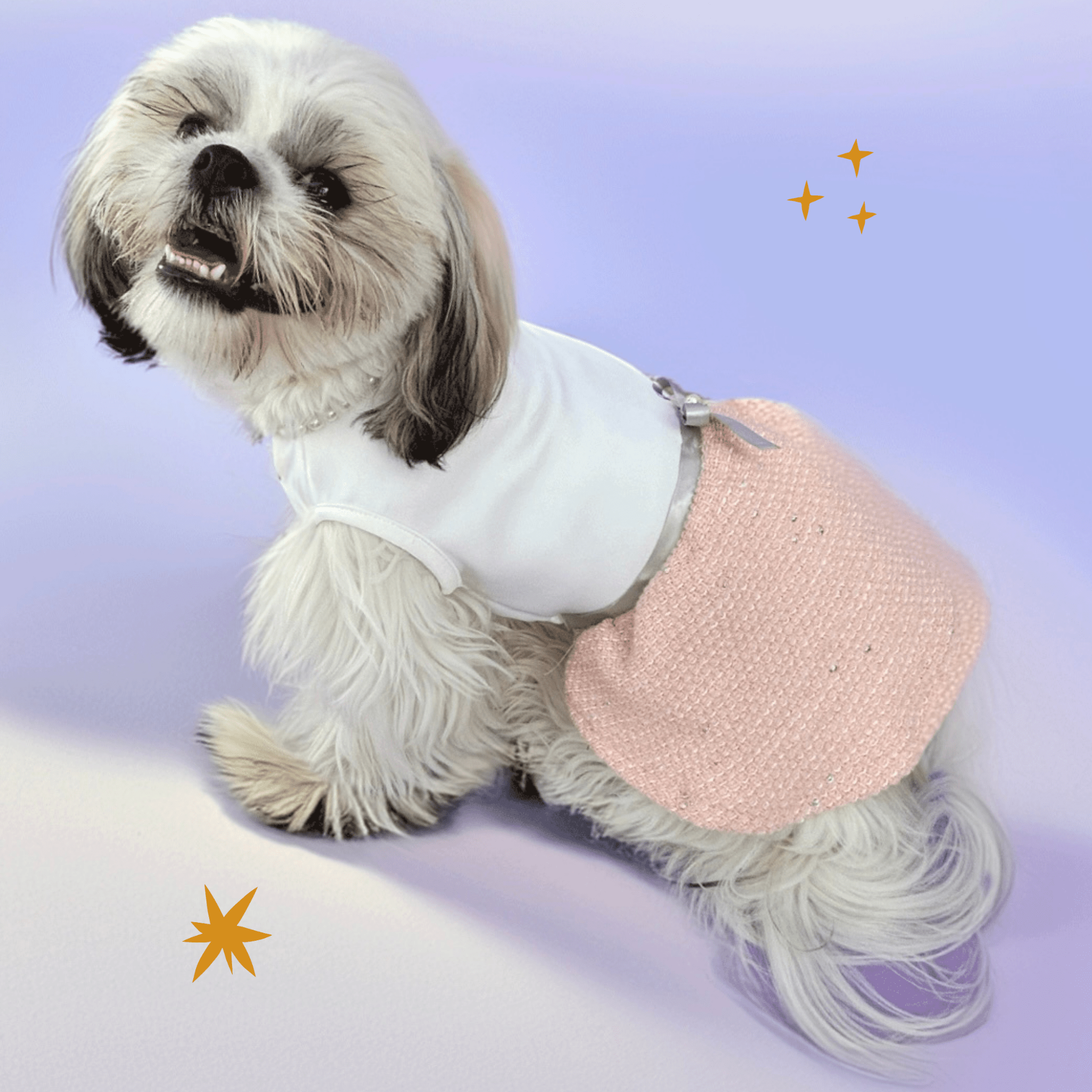 Pawtiful Dress