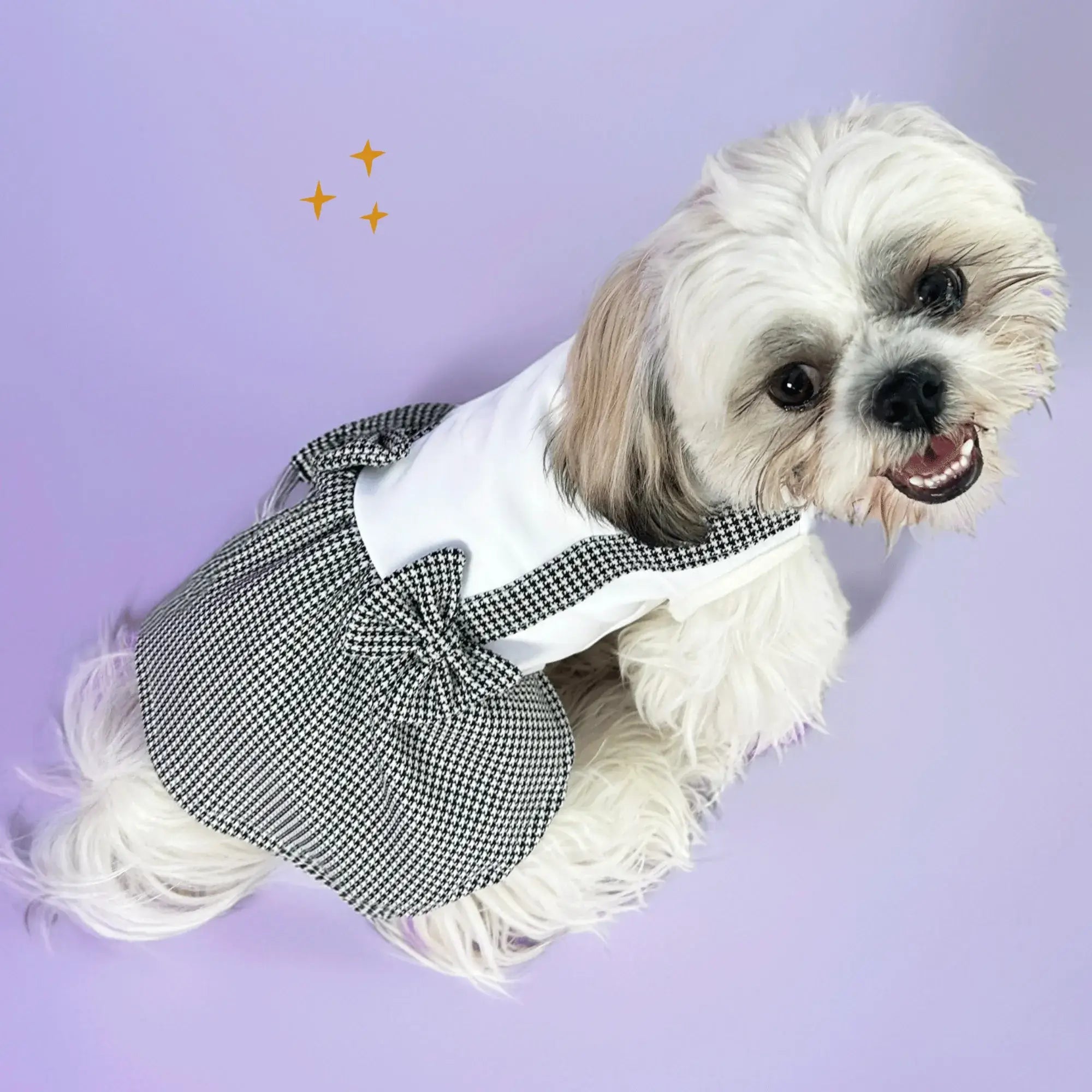 Pawtiful Dress