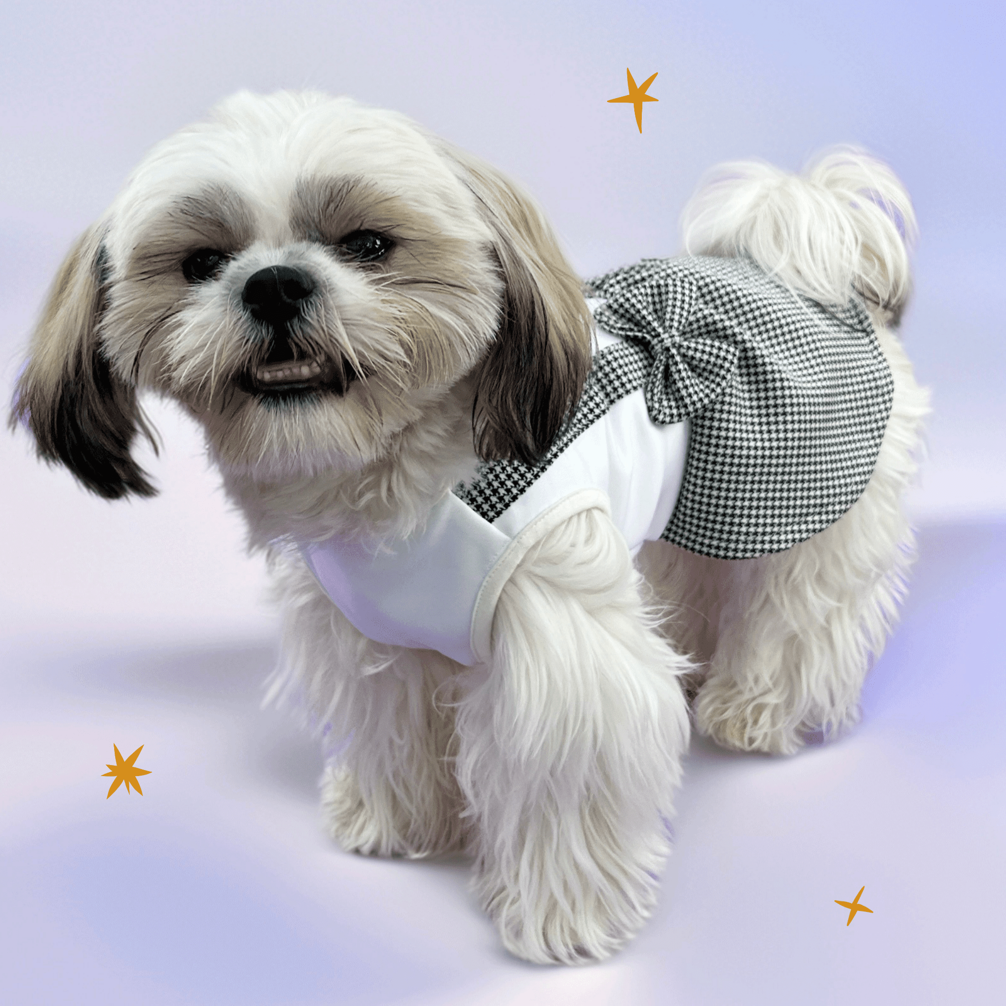 Pawtiful Dress
