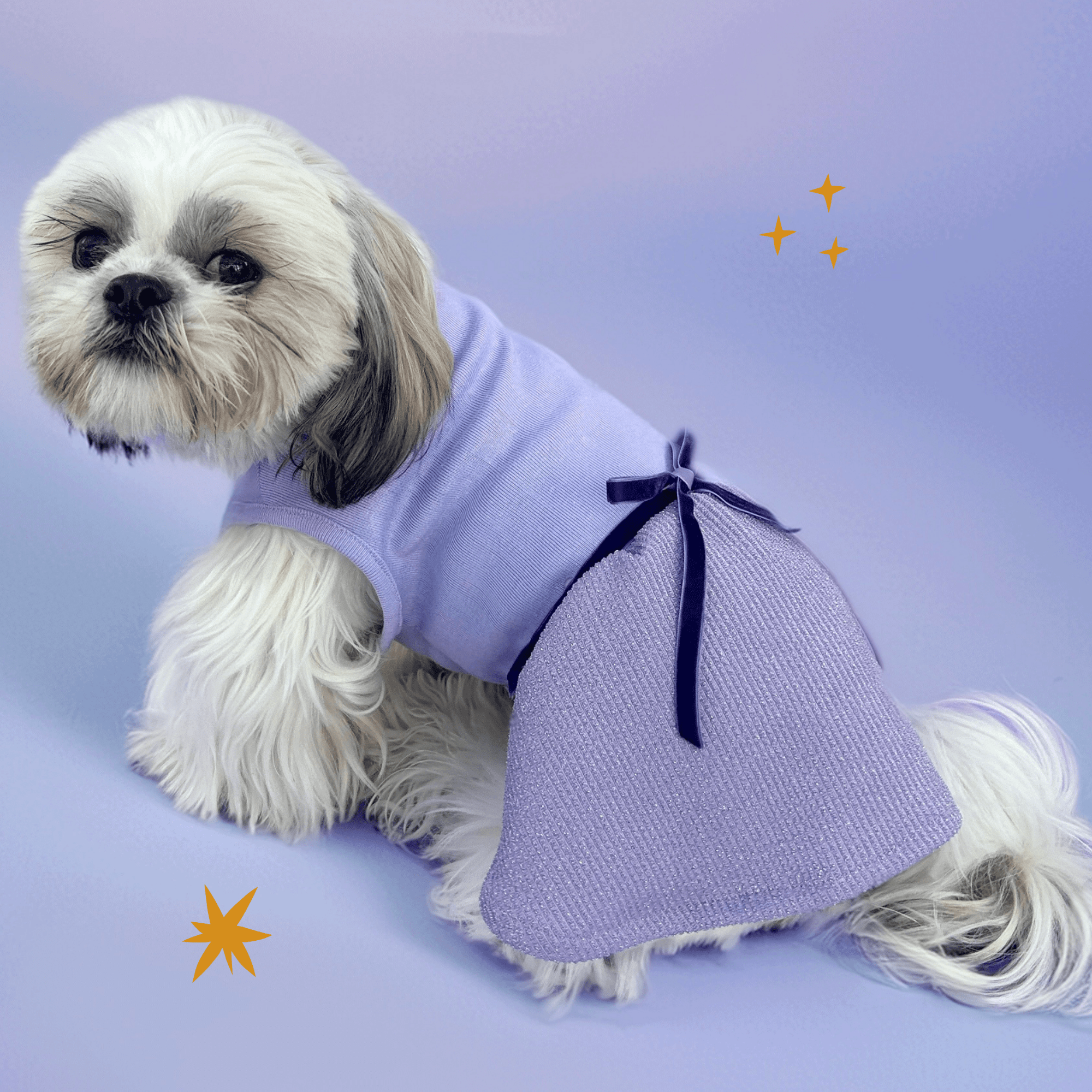Pawtiful Dress
