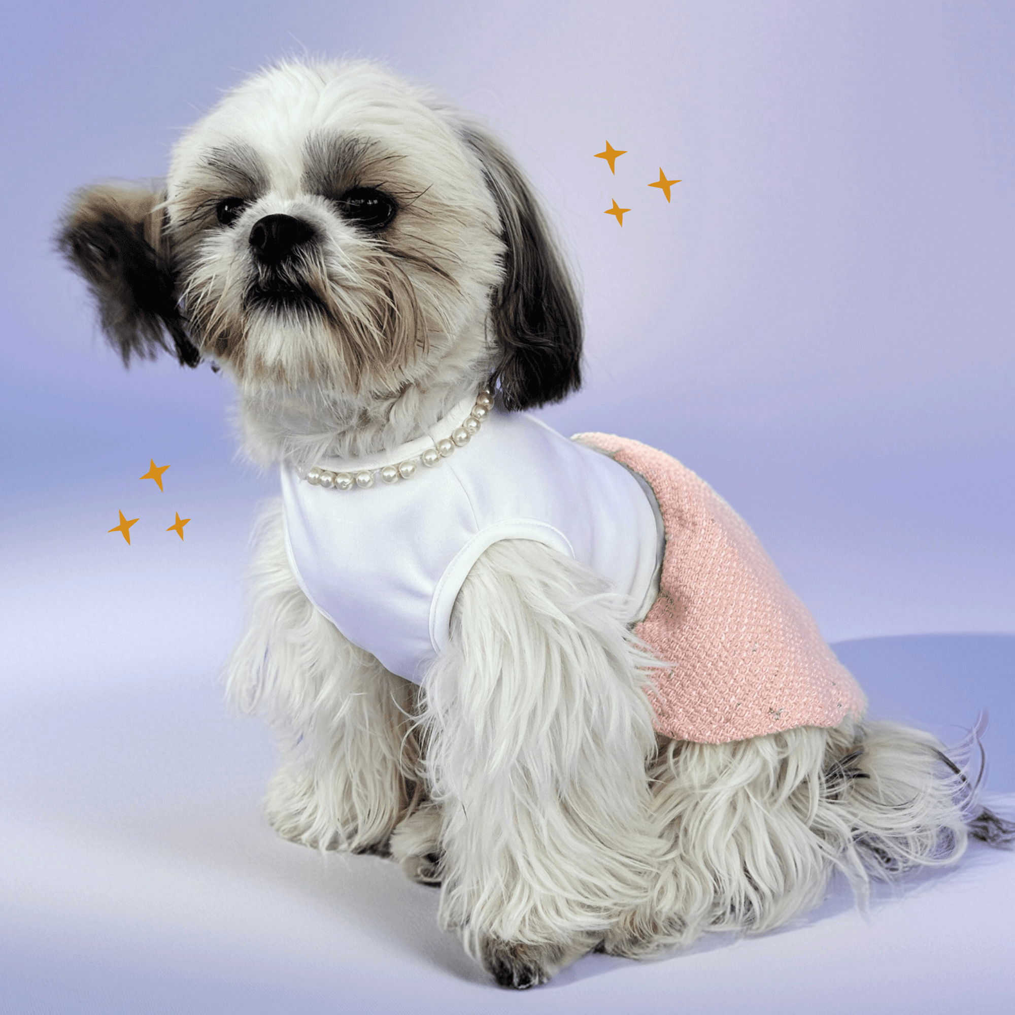 Pawtiful Dress