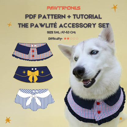 The Pawlité Accessory Set