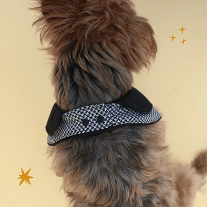 The Pawlité Accessory Set