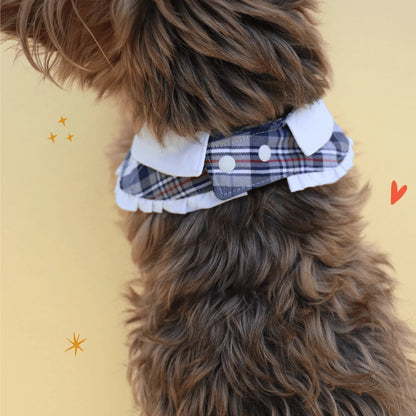 The Pawlité Accessory Set